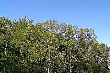 Vrch Chotuc, Nymbursko